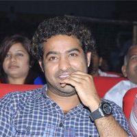 Jr NTR at Oosaravelli Audio Launch Gallery | Picture 77435